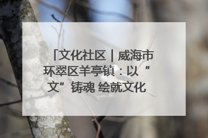 文化社区｜威海市环翠区羊亭镇：以“文”铸魂 绘就文化社区新画卷